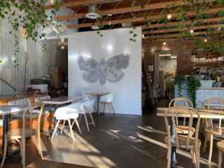 The Moth Cafe Downtown