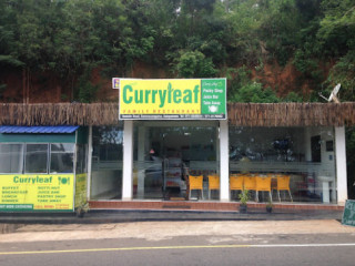 Curryleaf Family