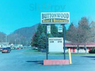 Buttonwood