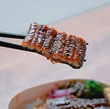 Xīn Yuè Huái Shí Rì Běn Liào Lǐ