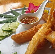 ฟิน ฟาร์ม