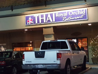 Thai Royal Orchid