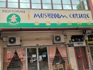 I Mushroom Culture