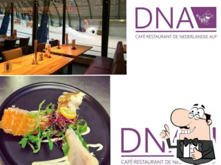 Brasserie Dna