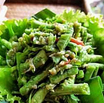 Luangprabang Bio Bamboo