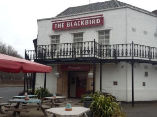 The Blackbird Sizzling Pub Grill