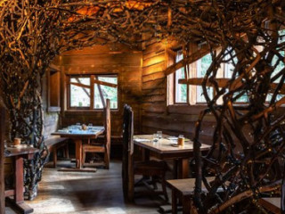 The Treehouse At The Alnwick Garden