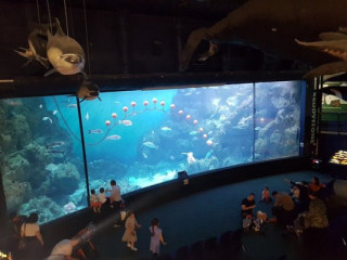 National Marine Aquarium Cafe