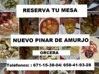 Nuevo Pinar De Amurjo