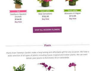 Tommy's Garden