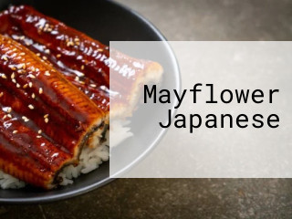 Mayflower Japanese