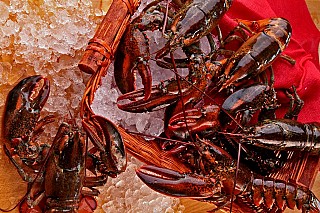 Lobster Restaurant