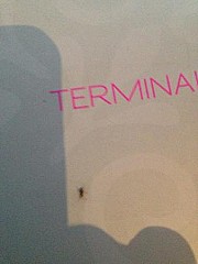 Le Terminal R