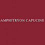 Amphitryon Capucine