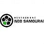 Japonais Neo Samourai
