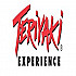 Teriyaki Experience - York Mills