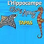 L'hippocampe Chez Amy