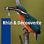 Rhin Et Decouverte