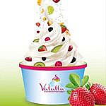 Valalla, Le Paradis Du Frozen Yogurt