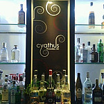 Cyathus