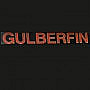 Gülberfin
