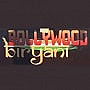 Bollywood Biryani