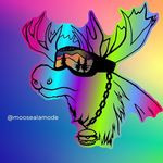Moose A'la Mode