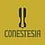 Conestesia