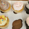 6 Pk Assorted Cupcakes