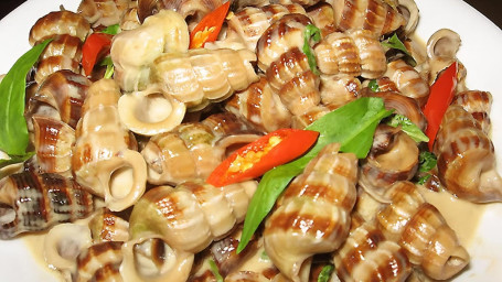 S15. Snail With Coconut Milk Ốc Len Xào Dừa)