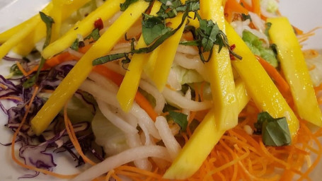 Fresh Mango Salad Jìng Máng Guǒ Shā Lǜ