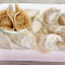 A02 Pan Fried Cabbage, Shrimp, and Pork Dumplings jiān xiān ròu bái cài xiā rén shuǐ jiǎo