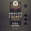 6. Analog Escape