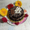 Choco Chip Cake (1 Kg