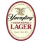 12. Traditional Lager