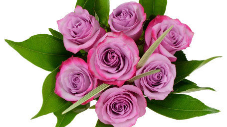 Debi Lilly Mini Chic Rose Bouquet