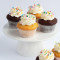 Elle Dee Cakes' Cupcakes (2 Pack)
