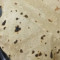 Plain Chapati [01 Pcs]