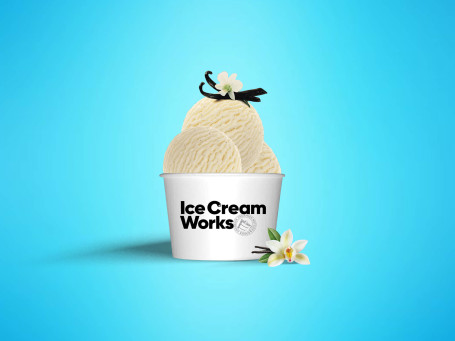 Creamy Tahitian Vanilla Ice Cream