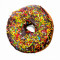Choco Rainbow Donut