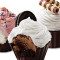 Lot De 6 Variétés De Cupcakes À La Crème Glacée Prêt Maintenant