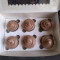 Hersheys Cupcake [6 Pieces]