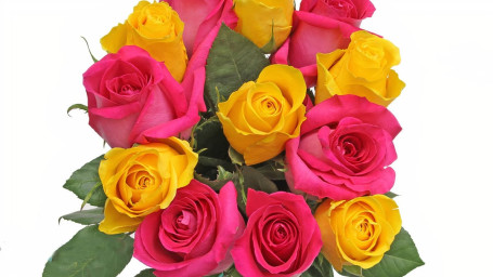 Debi Lilly Dozen Rose Bouquet (Vibrant Mix)