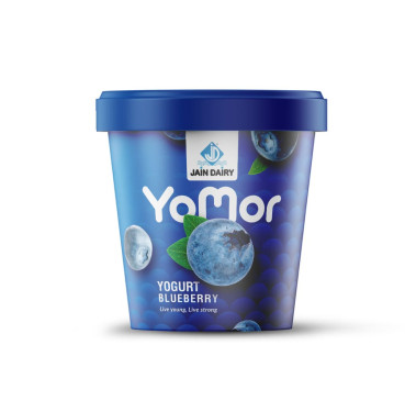 Yogurt Bluberry (90Gm)