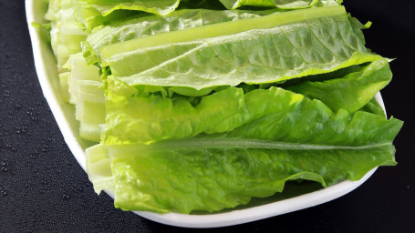 Shēng Cài Lettuce Lettuce