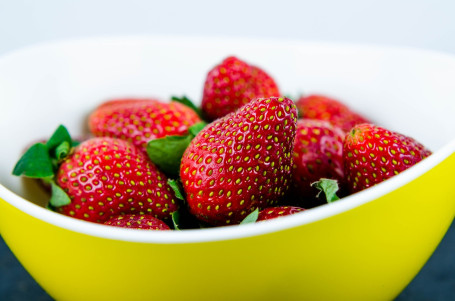 Bol Alimenté Par Les Plantes