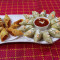 Steam Paneer Momos 12 Pcs, Paneer Spring Roll 6 Pcs, Served With Spicy Red Sauce And Green Chutney