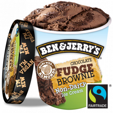 Ben Jerry's Non Dairy Choc Fudge Brownie