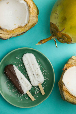 Smart Coconut Ice Cream Bar