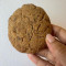 Protin Cookies